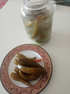 عکسی از دستور خیارشور