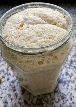 Une photo de 🍶LEVAIN MAISON🍞🥖