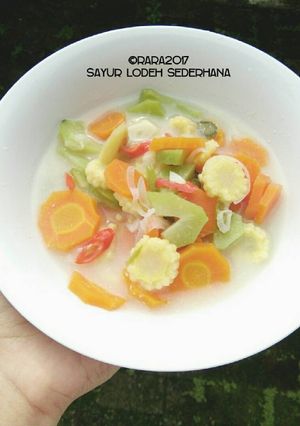 Foto resep Sayur Lodeh Sederhana