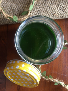 Foto resep Jus Pandan Suji Pewarna Alami - PGBA Mgg 45