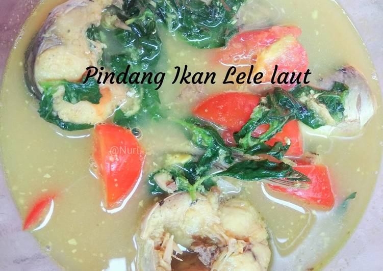 Pindang ikan lele laut