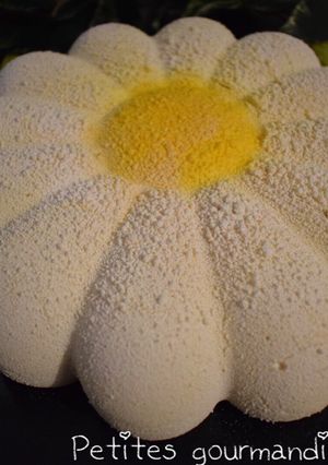 Une photo de Bavarois chocolat blanc framboise