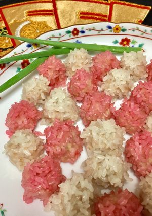 A picture of Japanese Chicken Dumplings.