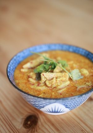A picture of Curry Chicken Malaysian Style.