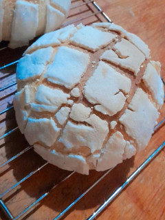 Una foto de Conchas ♡