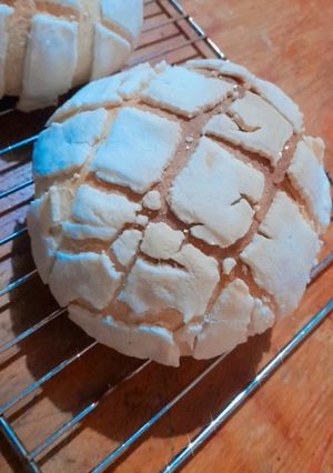 Una foto de Conchas ♡