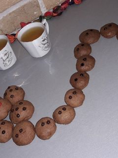 عکسی از دستور کوکی دارچینی شکلاتی