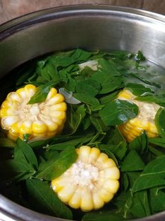 Foto resep Sayur bening daun katuk