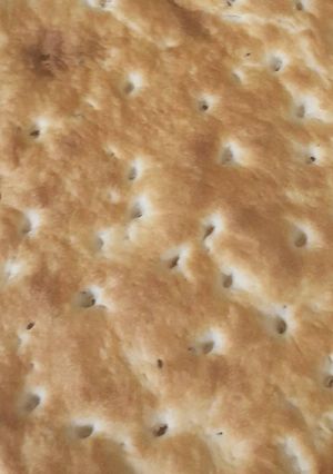 صورة لوصفة الخبز الأفغاني (التميس)