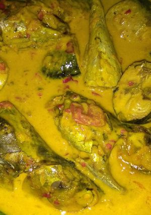 Foto resep Santan tongkol