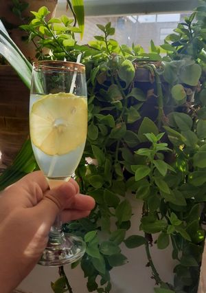 عکسی از دستور شربت آبلیمو