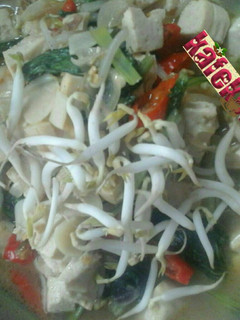 Foto resep Tumis Tahu Tauge