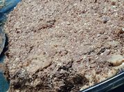 Una foto de chocotorta con chocolate