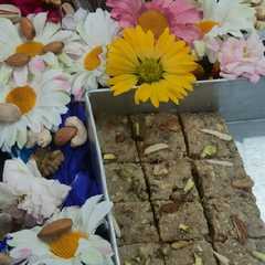 A picture of ચોકોલેટ મિલ્ક કેક (Chocolate Milk Cake Recipe In Gujarati).