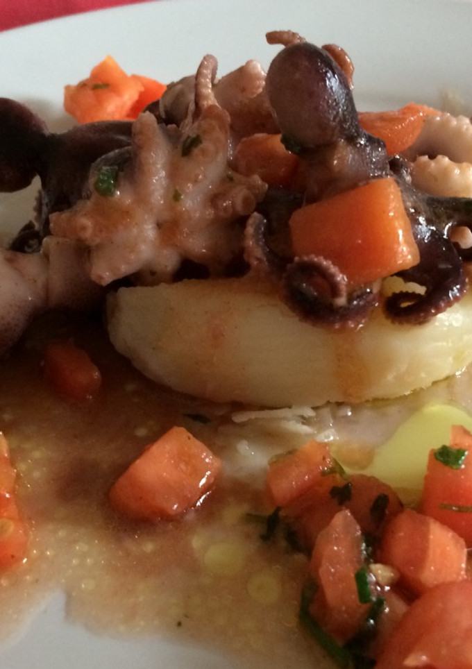 Una foto de Pulpitos salteados con puré de ajos y concasé de tomate
