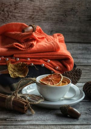 عکسی از دستور چیپس پرتقال