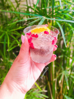 عکسی از دستور دسر ژله ای با دانه چیا