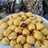 Soes Kering Isi Coklat