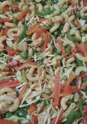 A picture of Chicken vegetables macaroni.