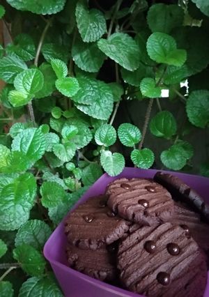 Foto resep Choco cookies tanpa mixer