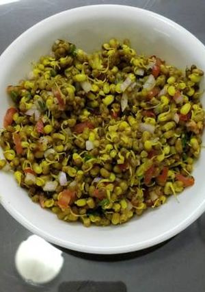 A picture of Matki sprouts.