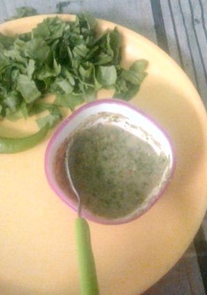 A picture of Coriander chutney.