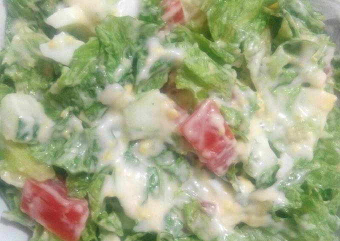 Salad sayuran