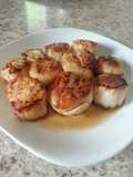 Pan Seared Scallops