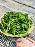 Rau Muống Luộc và Nước Luộc Rau Vắt Chanh