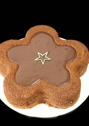 عکسی از دستور کیک شیره کاکائویی (با پودینگ شیره و کاکائو)