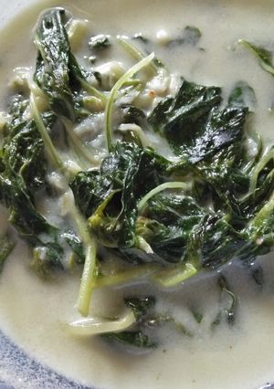 Foto resep Bobor bayam
