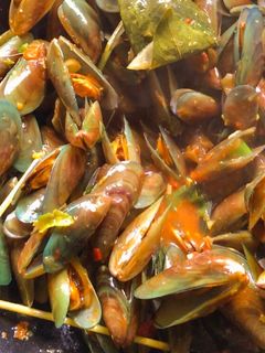 Foto resep Kerang Hijau Saus Padang