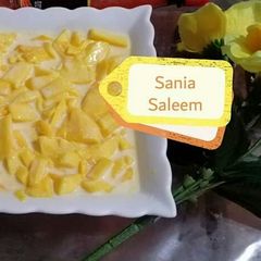 A picture of Mango Delight.