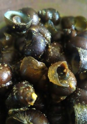 Foto resep Seruput tutut