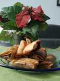 PisCok (Pisang Coklat)