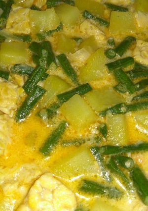 Foto resep Lodeh tempe untuk balita