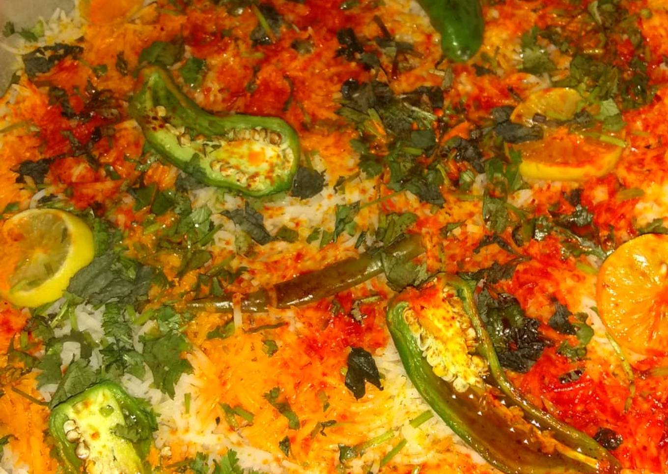 Degi biryani