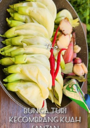 Foto resep Bunga Turi Kecombrang Kuah Santan