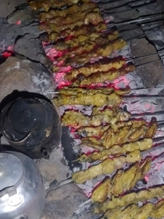 عکسی از دستور جوجه کباب😋