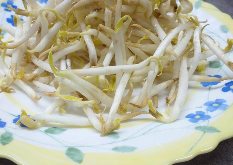 Steps to Prepare Perfect Cara Menyimpan Tauge