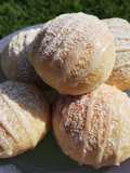 Pan Brioche de limón