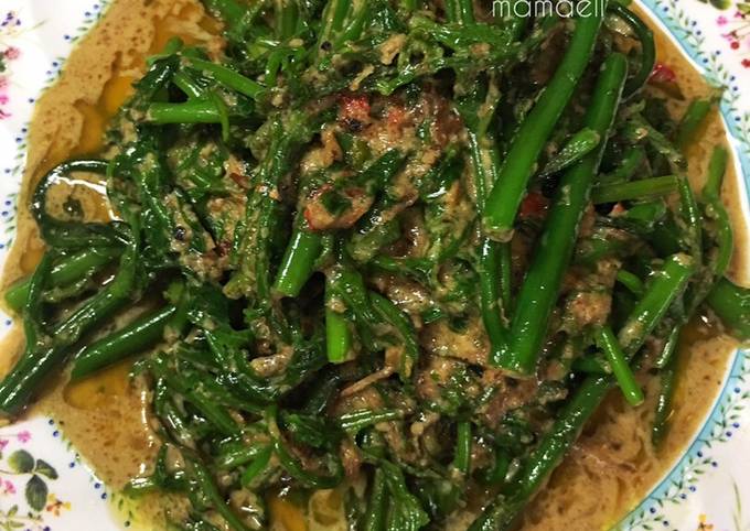 Resipi Pucuk Paku Tumis Santan Oleh Ell Sakimin Cookpad