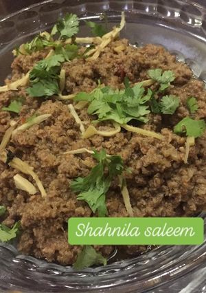 A picture of Bihari qeema.