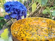Una foto de crema royal para tarta de queso