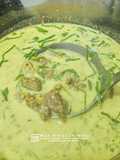 Masak Lemak Cili Api Daging Tetel Nogori