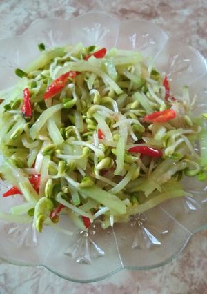 Foto resep Tumis Labu siam Toge
