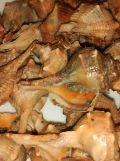 Una foto de Cañaíllas cocidas