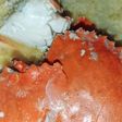 Kepiting santan