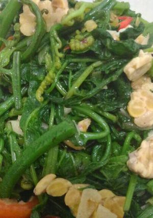 Foto resep Tumis pakis-tempe