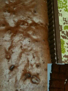 Foto resep Brownis kukus yuummii..